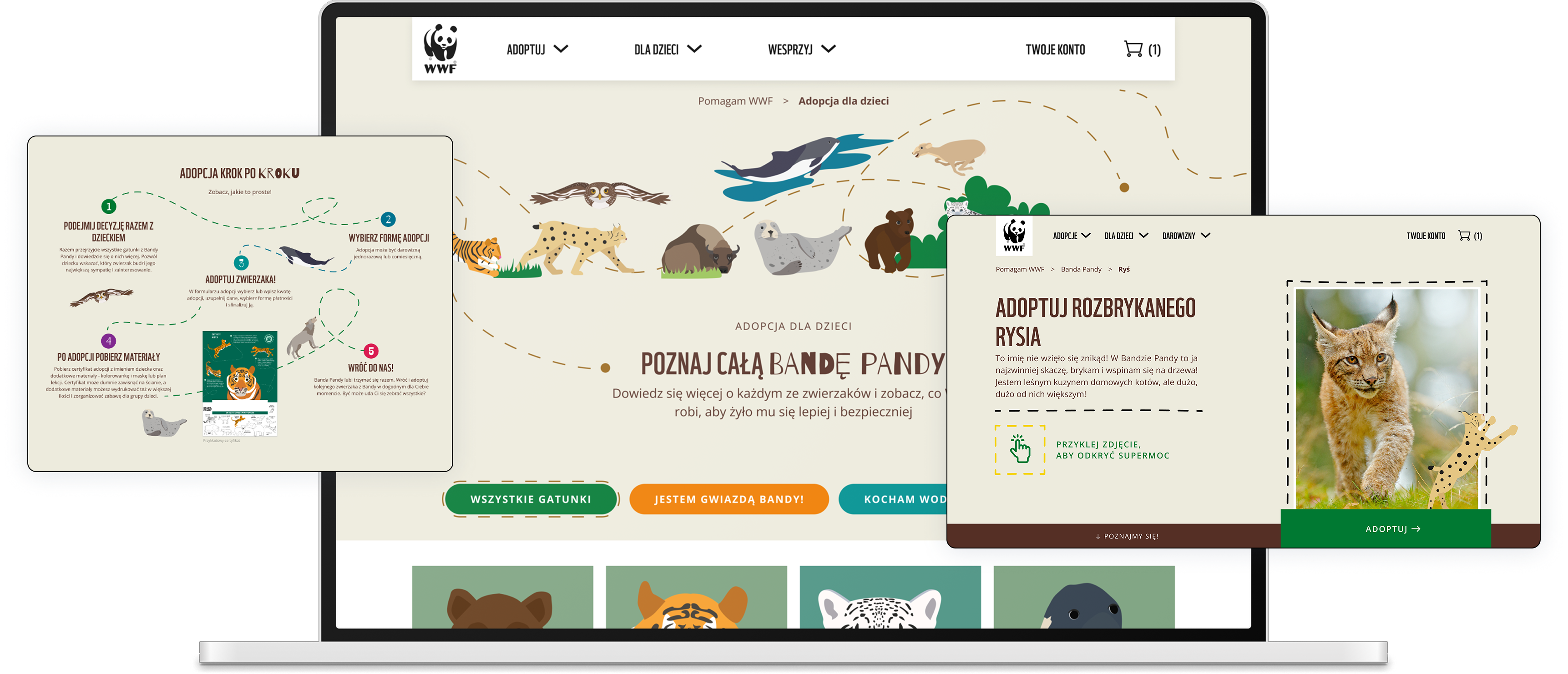 Banda Pandy — the kids' world: the hub, step-by-step adoption and a playful comic-styled animal card