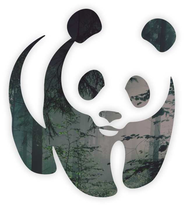WWF panda mark filled with a misty forest